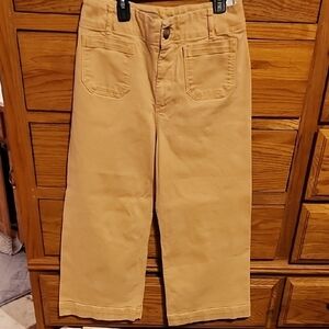 Pilcro Light Petite Wide Leg Tan Pants